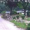 A house of Kwangsan Kim families RƂ̏Z
